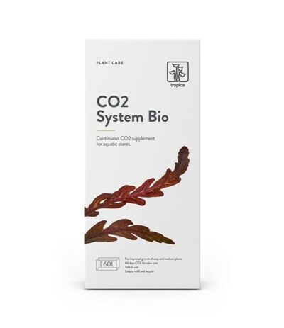 Co2 System Bio