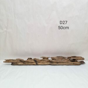 Dragon Wood D27