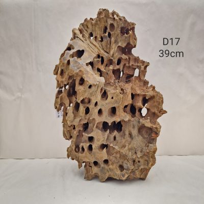 Dragon Wood D17