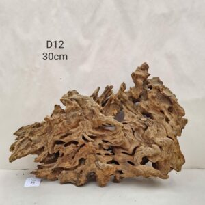 Dragon Wood D12