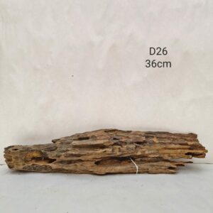 Dragon Wood D26