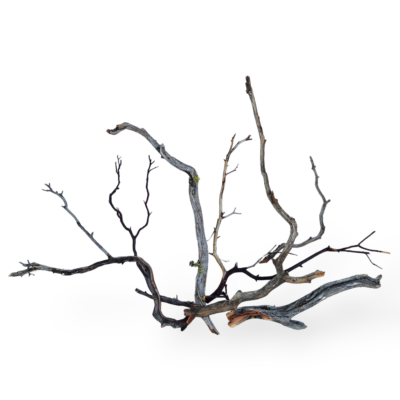 Manzanita Twigs Mixed 150g