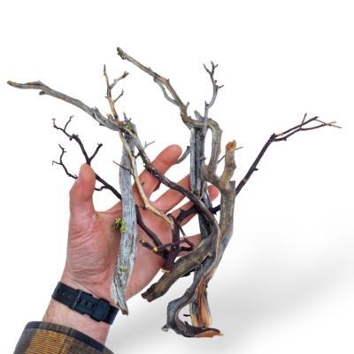 Manzanita Twigs Mixed 150g