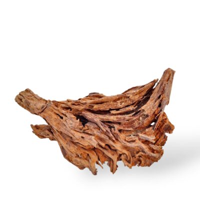 Bogwood Random Piece 10-15cm