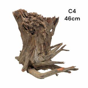 Corbo Catfish Root C4