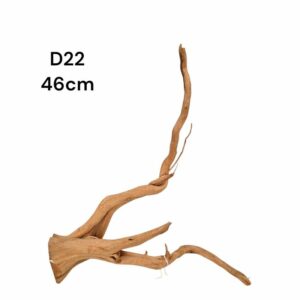 Redmoor Root D22