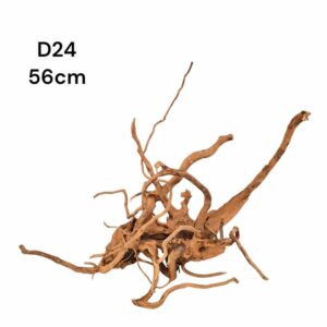 Redmoor Root D24