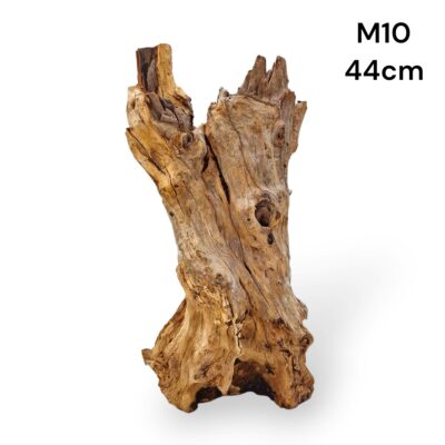 Mojo Wood M10