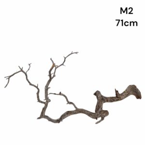 Manzanita