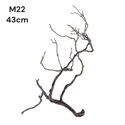 Manzanita