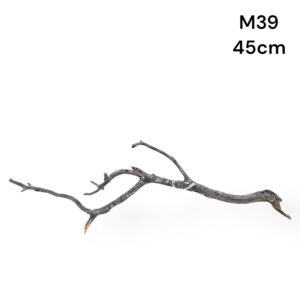 Manzanita Piece M39