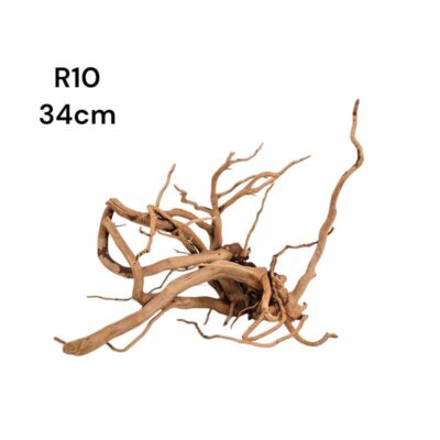 Redmoor Root R10