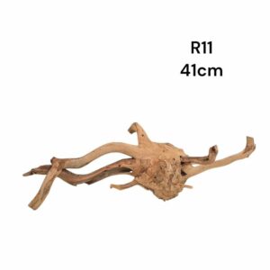 Redmoor Root R11