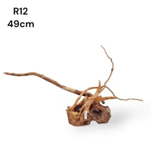 Redmoor Root R12