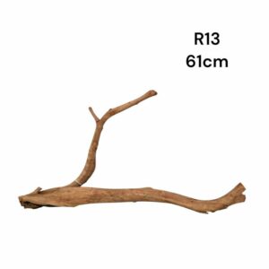 Redmoor Root R13