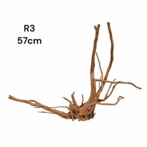 Redmoor Root R3