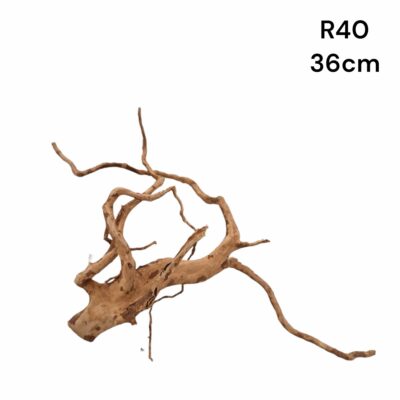 Redmoor Root