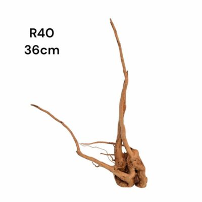 Redmoor Root R40