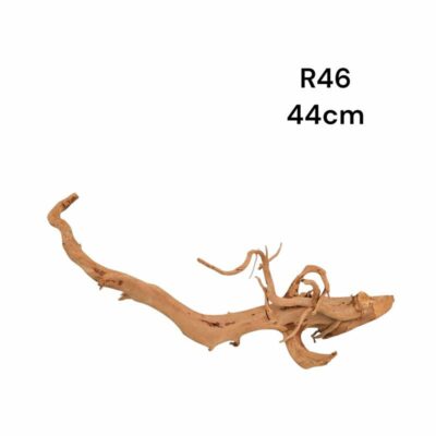 Redmoor Root R46