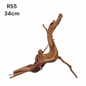 Redmoor Root