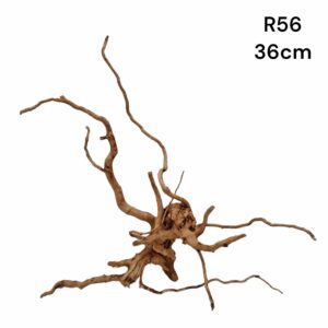 Redmoor Root