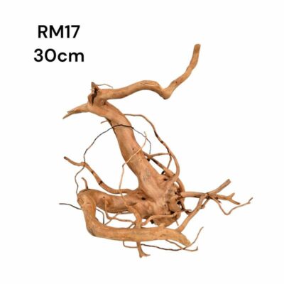 Redmoor Root RM17