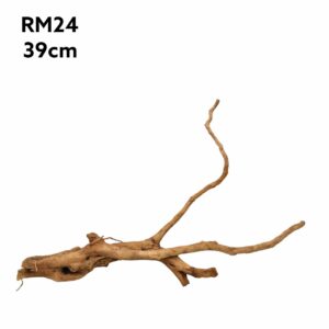 Redmoor Root