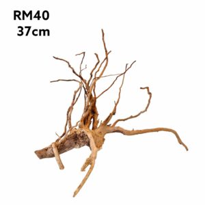 Redmoor Root