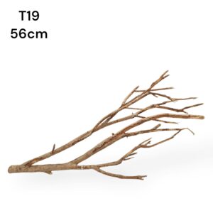 talawa wood l8