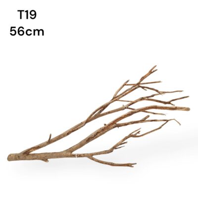 talawa wood l8