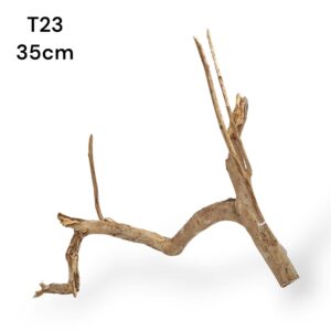 talawa wood m14