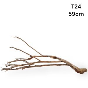 talawa wood m15