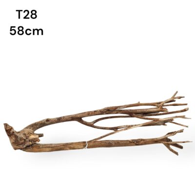 talawa wood m17