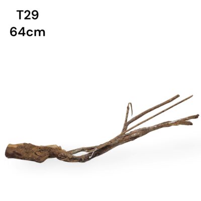 talawa wood m18