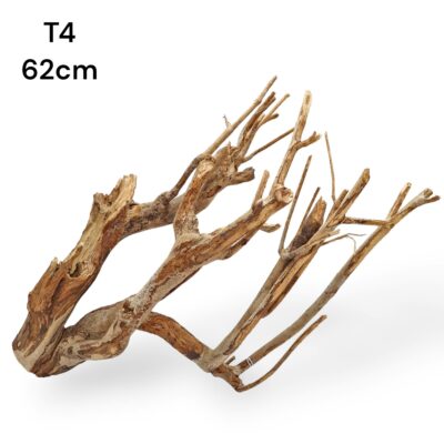 talawa wood l11