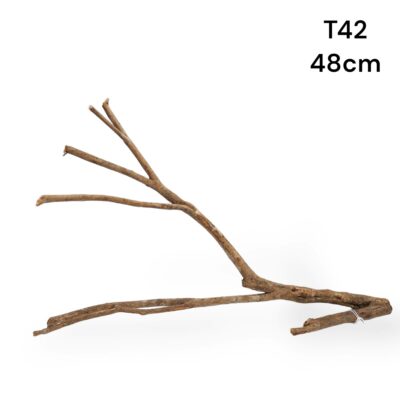 talawa wood m21