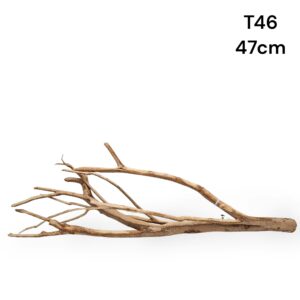 talawa wood m24