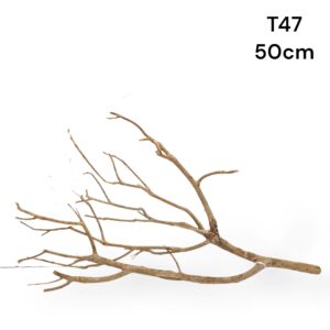 talawa wood m25