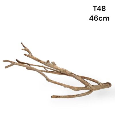 talawa wood m26