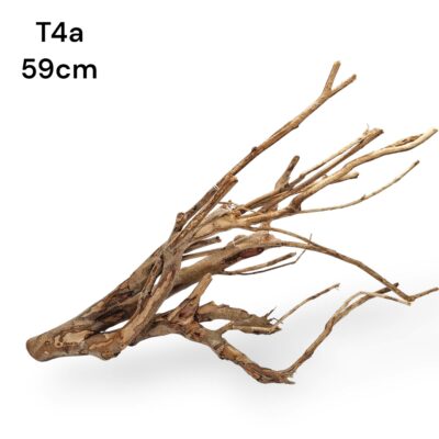 talawa wood l12