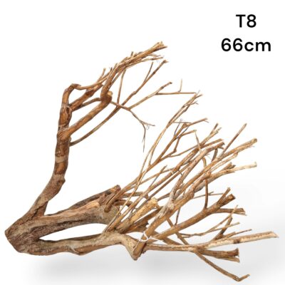 talawa wood l16