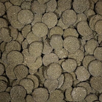 NT Labs Pro-f Algae Wafers 110g