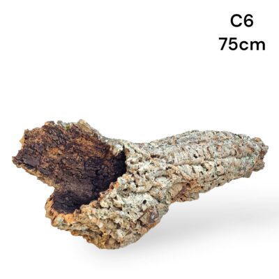 Cork Bark Tube C6