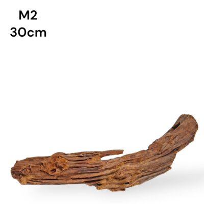 Mangrove Wood M2