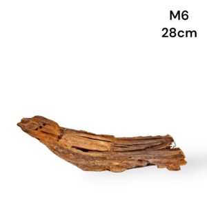 Mangrove Wood M6