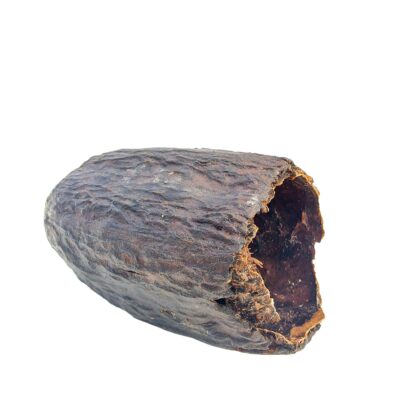 Cocoa Pod 1