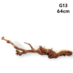 Gnarled Wood