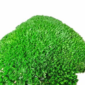 Preserved Cushion Moss