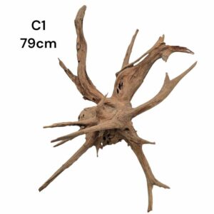 Corbo Catfish Root C1 2