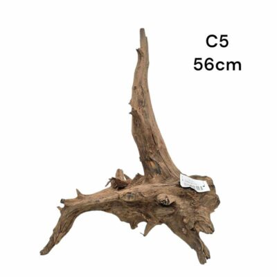 Corbo Catfish Root